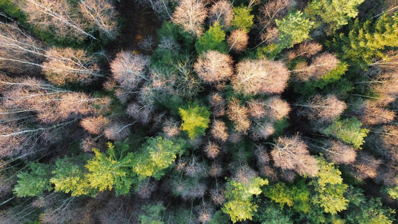 Mysig Och Modern Stuga Pa Snoegard, Naera Havet Och Naturen Lur  Exteriér fotografie