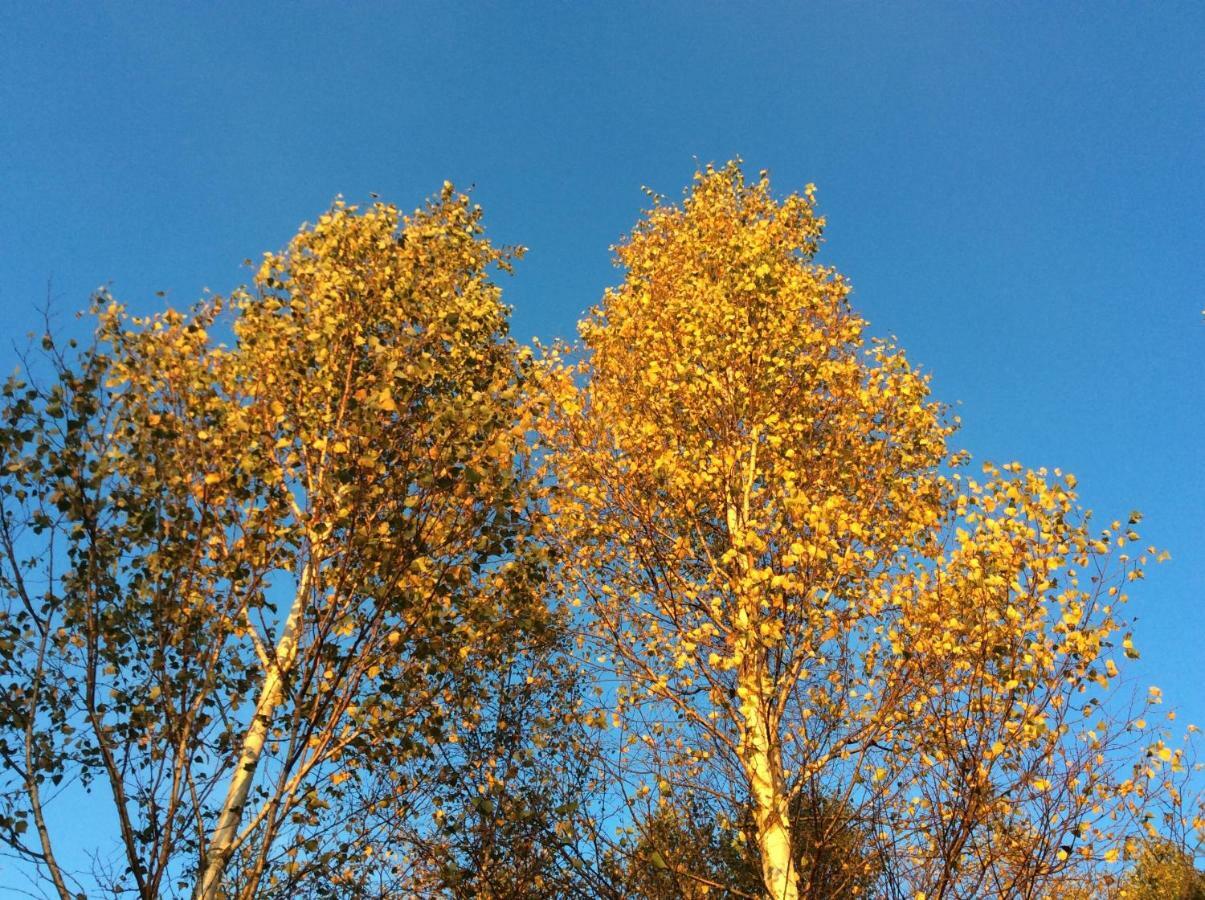 Mysig Och Modern Stuga Pa Snoegard, Naera Havet Och Naturen Lur  Exteriér fotografie