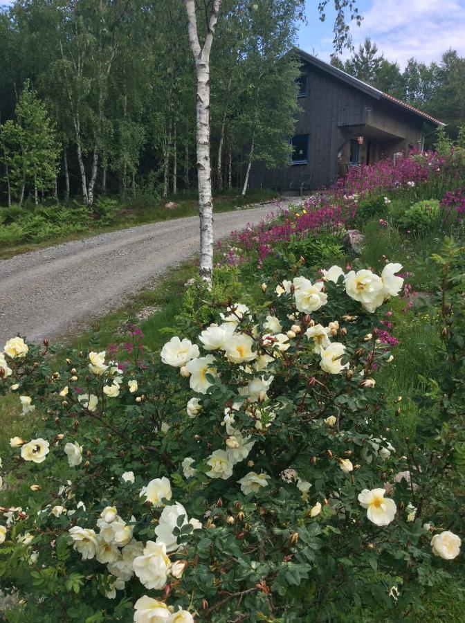 Mysig Och Modern Stuga Pa Snoegard, Naera Havet Och Naturen Lur  Exteriér fotografie